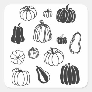 Pumpkin Botanical Square Sticker