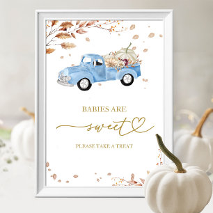 Pumpkin Boy Fall Babies Are Sweet Sign