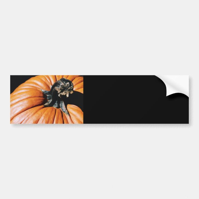 Pumpkin Bumper Sticker (Front)
