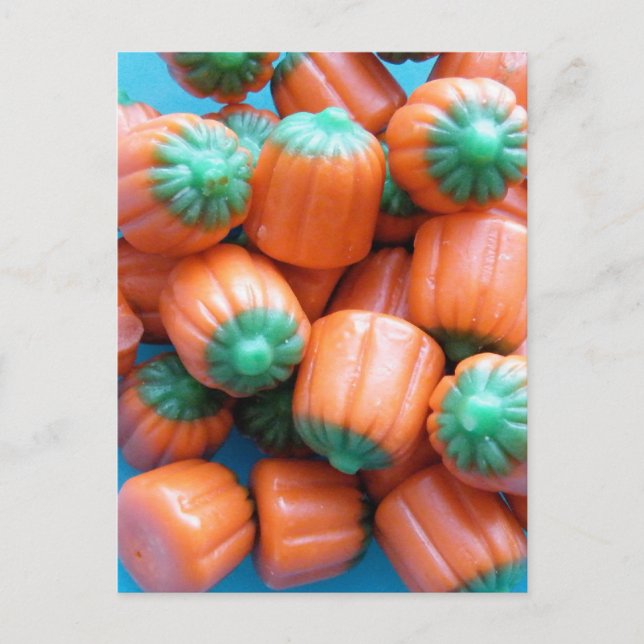 Pumpkin Candy Corn Photo Postcard (Front)