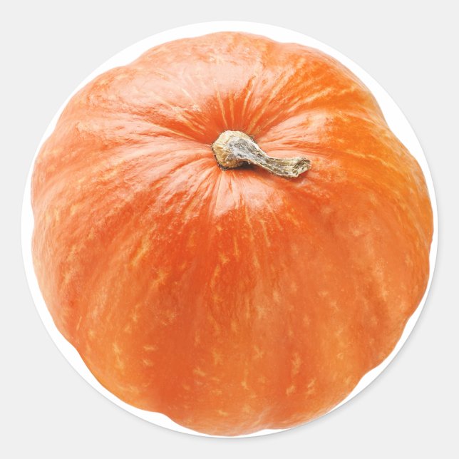 Pumpkin Classic Round Sticker (Front)