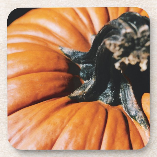 Pumpkin Coaster (Front)