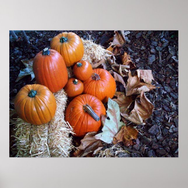 Pumpkin display print (Front)
