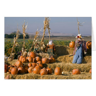 Pumpkin display with hay bales and scarecrows