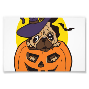 Pumpkin Dog Halloween, Funny Halloween Dog Photo Print