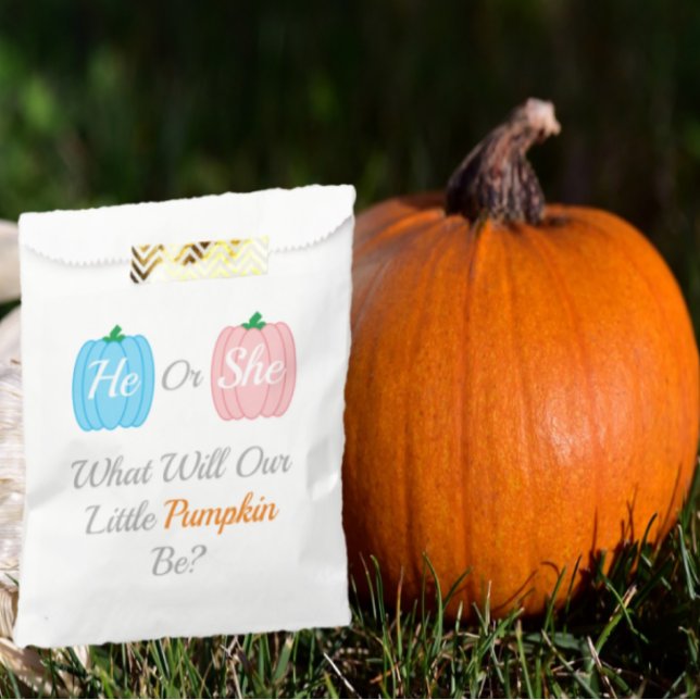 Pumpkin Fall Gender Reveal Favour Bag (Creator Uploaded)
