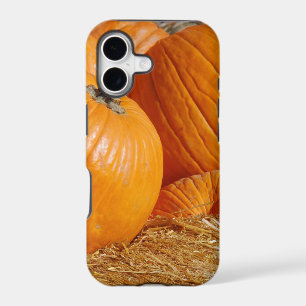 Pumpkin Fall Scene