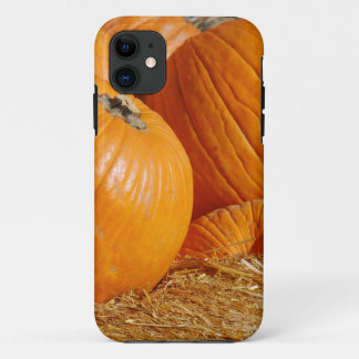 Pumpkin Fall Scene iPhone 11 Case