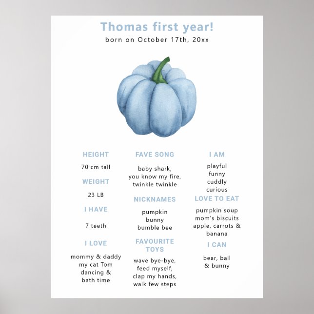 Pumpkin First Birthday Milestone Birthday Poster (Front)