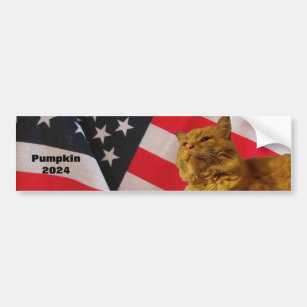 Pumpkin For President Flag Background Bumper Stick Bumper Sticker