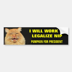 Pumpkin for President Legalise Nip- Bold Bumper Sticker