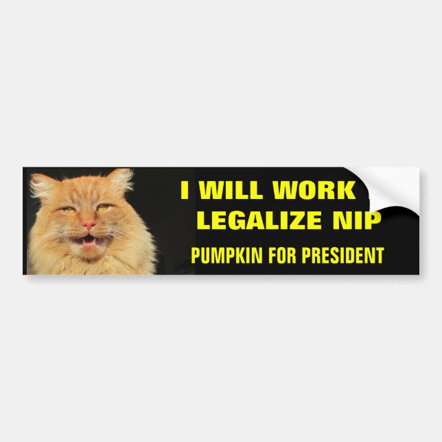 Pumpkin for President Legalise Nip- Bold Bumper Sticker (Front)