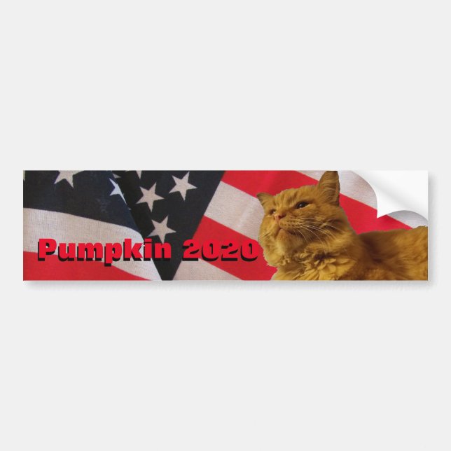 Pumpkin For President w/ Flag Background Bumper Sticker (Front)