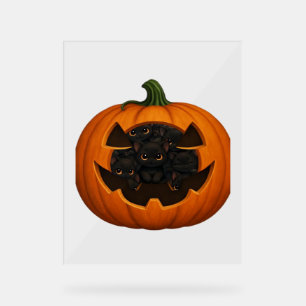 Pumpkin Full of Kittens - Cute Black Cat Halloween Acrylic Sign
