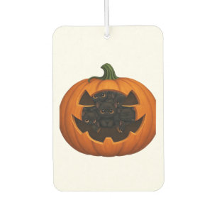 Pumpkin Full of Kittens - Cute Black Cat Halloween Car Air Freshener
