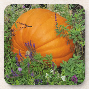 Pumpkin garden coaster