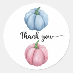 Pumpkin gender reveal thank  you classic round sticker