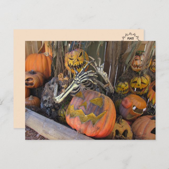 Pumpkin Ghoul Halloween Postcard (Front/Back)
