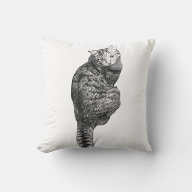 Pumpkin Glow Whiskers Cushion (Front)