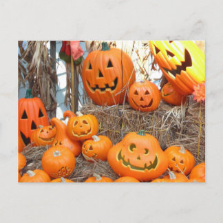 Pumpkin halloween jack o lantern orange pumpkins postcard
