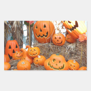 Pumpkin halloween jack o lantern orange pumpkins rectangular sticker