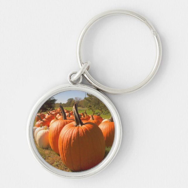 Pumpkin Harvest Key Ring (Front)