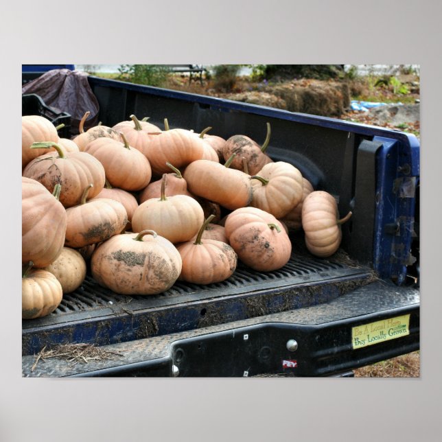 Pumpkin Harvest On Pickup Truck Fall Poster (Front)