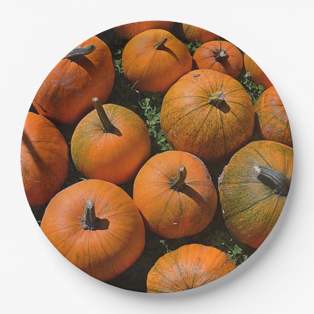 Pumpkin Harvest Paper Plate (Front)