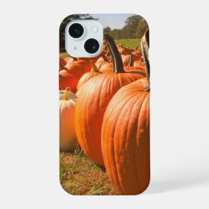 Pumpkin Harvest, Pumpkin Patch Pumpkins iPhone 15 Case