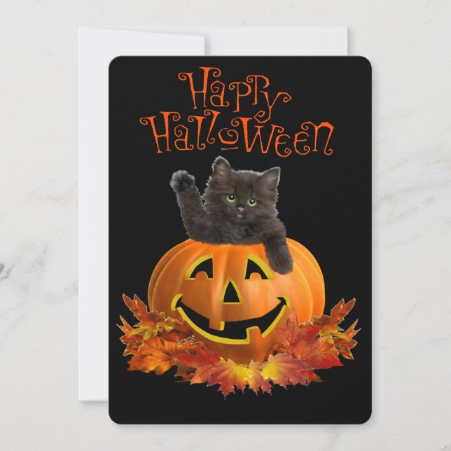 Pumpkin Kitty (Front)