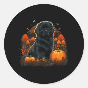 Pumpkin Newfie Dog Costume On Newfoundland Dog Classic Round Sticker