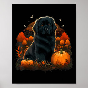 Pumpkin Newfie Dog Costume On Newfoundland Dog Poster