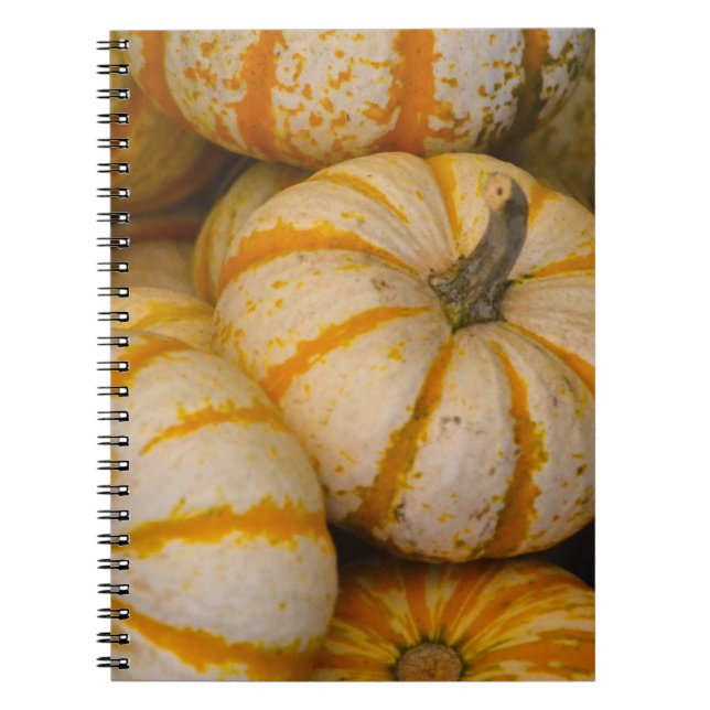 Pumpkin Notebook (Front)