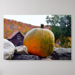 Pumpkin on Rock Wall in Vermont, Autumn Poster