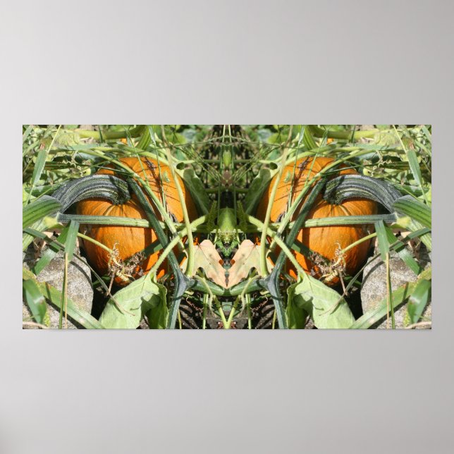 Pumpkin On Vine Fall Mirror Abstract Poster (Front)