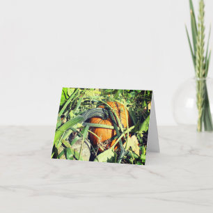 Pumpkin On Vine Nature Customisable Note Thank You Card