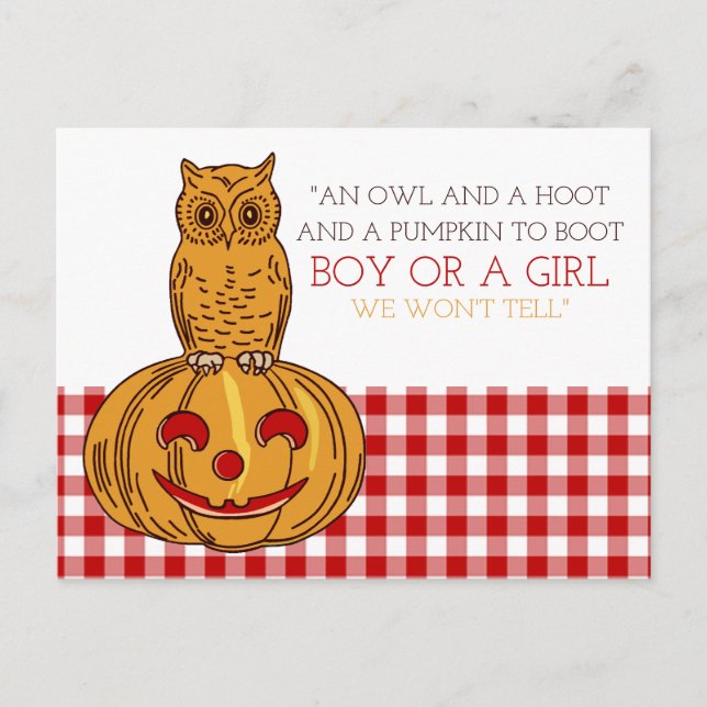 Pumpkin Owl & Gingham New Baby Announcement (Front)