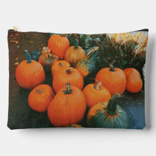 Pumpkin Patch Accessory Pouch