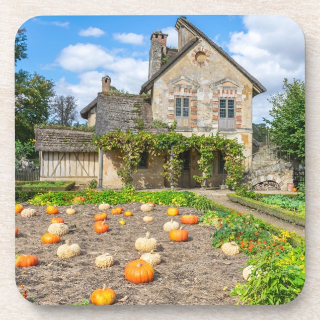 Pumpkin patch and farm building coasters (Front)
