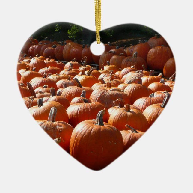 Pumpkin Patch Autumn Harvest Photography Ceramic Tree Decoration (Front)