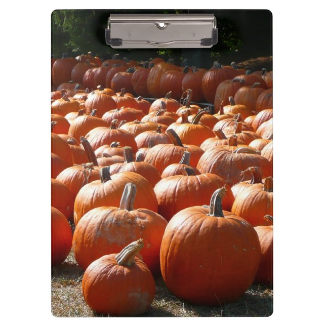 Pumpkin Patch Autumn Harvest Photography Clipboard (Front)