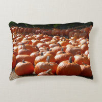 Pumpkin Patch Autumn Harvest Photography