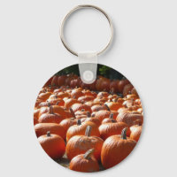 Pumpkin Patch Autumn Harvest Photography