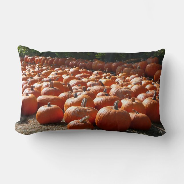 Pumpkin Patch Autumn Harvest Photography Lumbar Cushion (Front)