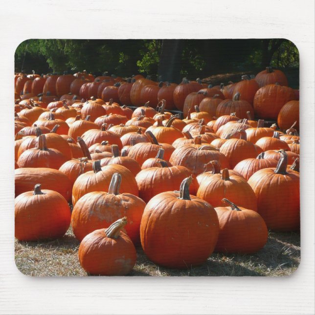 Pumpkin Patch Autumn Harvest Photography Mouse Pad (Front)