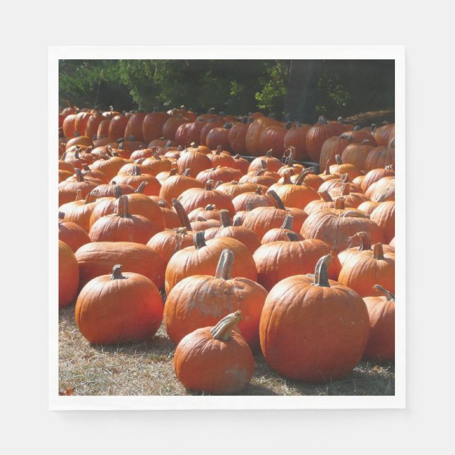 Pumpkin Patch Autumn Harvest Photography Napkin (Front)