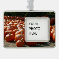 Pumpkin Patch Autumn Harvest Photography