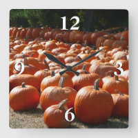 Pumpkin Patch Autumn Harvest Photography