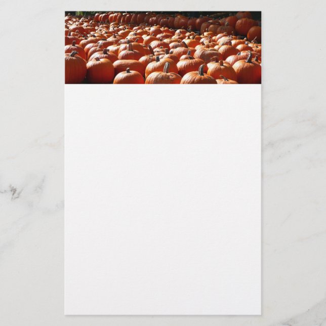Pumpkin Patch Autumn Harvest Photography Stationery (Front)