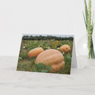 Pumpkin patch card